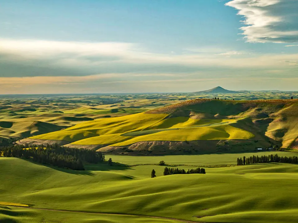 Palouse Country Photo Tours