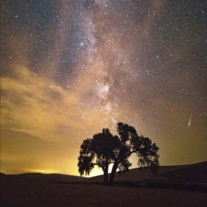 Palouse Country Photo Tours